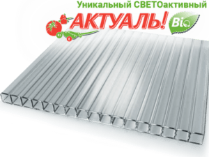 Сотовый поликарбонат Актуаль Bio (Казань) 4 мм прозрачный